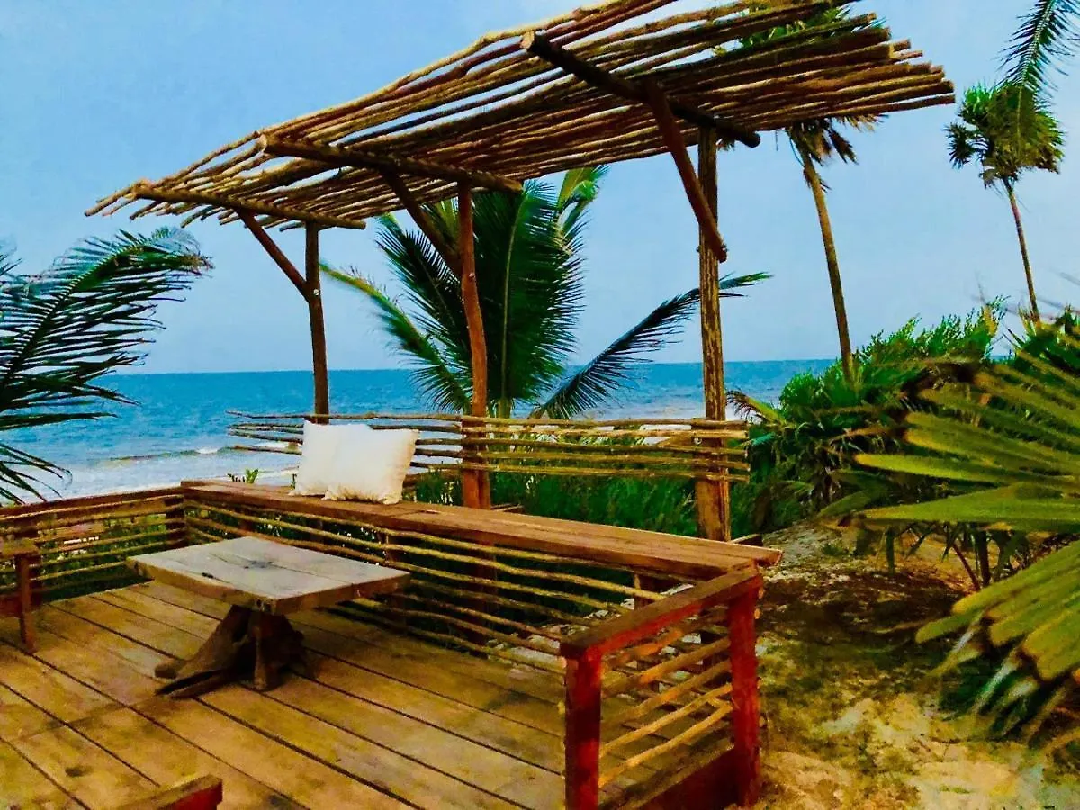 Casa Pelicanos Tulum Beach Mx - Next To Hotel Zone 0*,  Mexico