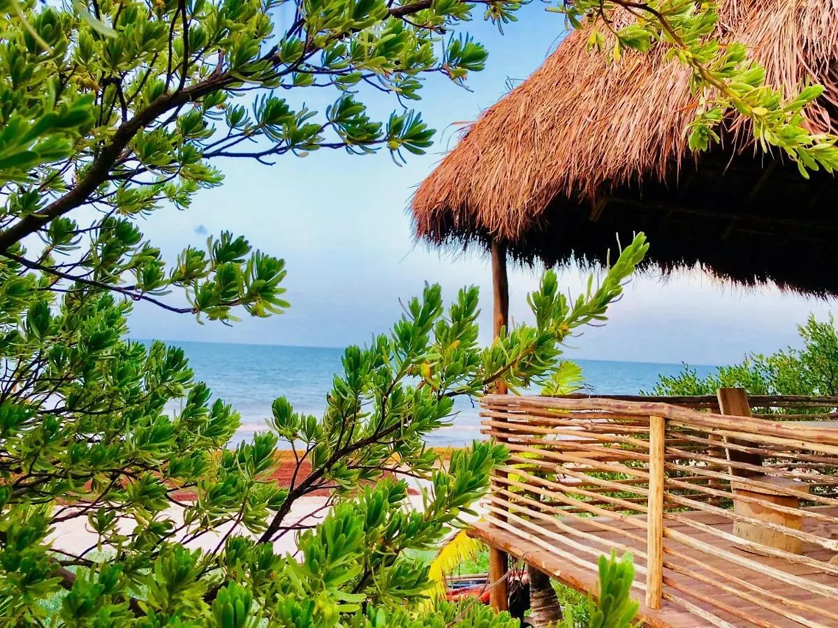 Villa Casa Pelicanos Tulum Beach Mx - Next To Hotel Zone Mexico